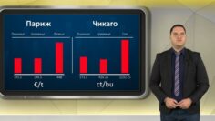 borsova-informacia-230226