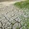 climate-change-2241061_1280