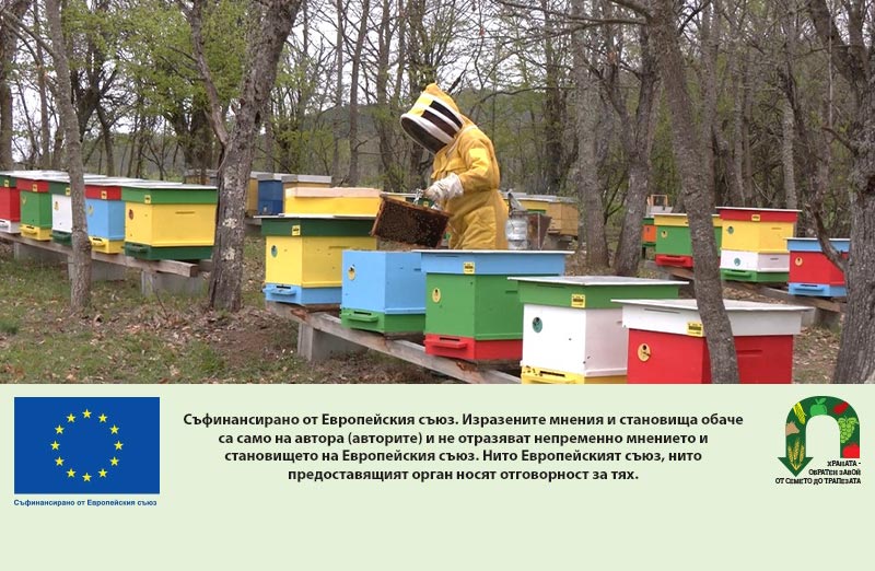 Отварят приема за пчеларство за 2026 г.: Над 5 милиона евро бюджет за сектора
