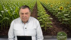 rastitelna-zashtita-dobivi-prognoza