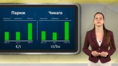 borsovainformacia19032026