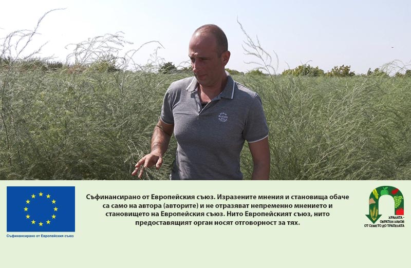 Георги Бинков и мисията да върне аспержите на българската трапеза
