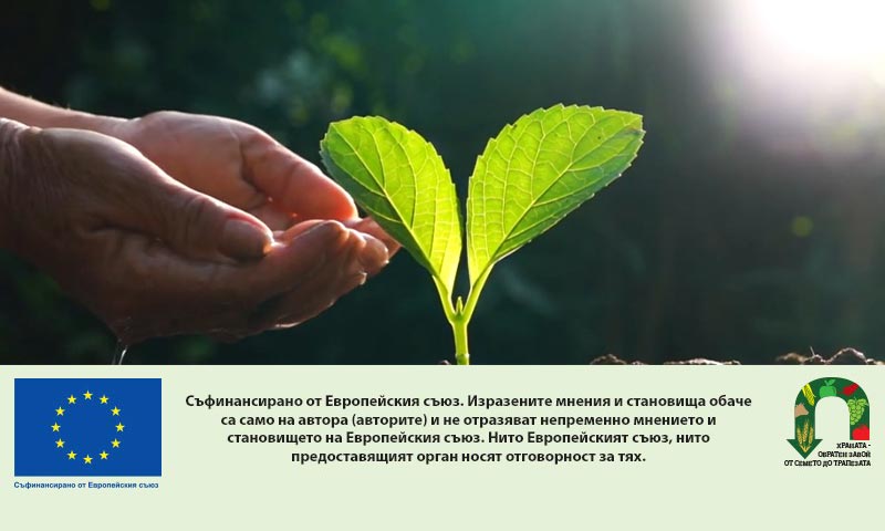 Стартираха плащанията по интервенцията ДП-ОПДУ за Кампания 2025