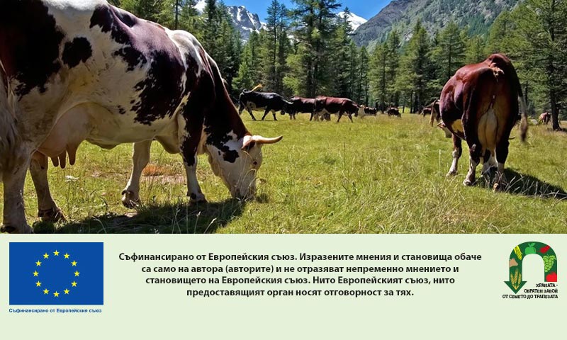 Удължават срока за кандидатстване по инвестиционната мярка II.Г.1 заради технически прекъсвания