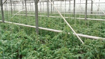 selskostopanski produkti