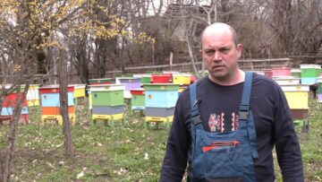 Biopchelinite na Ivaylo Bochev