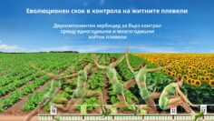 Evolution-AgroTV