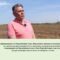 Оранжерийни череши: от експеримент до бизнес модел
