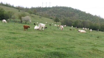 agroforum zemedelie