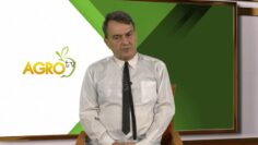 dots. Vladimir Vlaskov