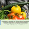 intervencii-AgroTV