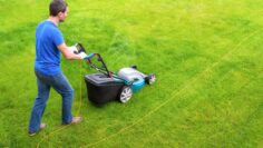 Gardener in the garden mows grass with a lawn mower. Side view