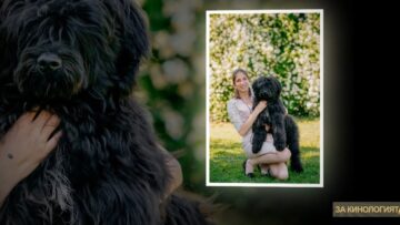 portugalsko-vodno-kuche