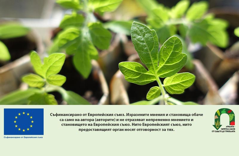 От био пчеларство до Натура 2000: ДФЗ приема нови заявления за подпомагане