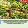 priem-prerabotka-agrotv