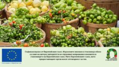 priem-prerabotka-agrotv