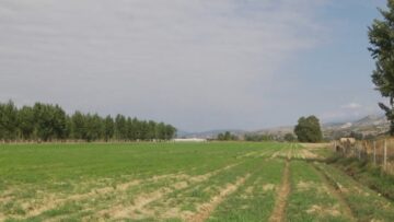 promeni-dzes