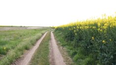 rapica agrotv zemedelie