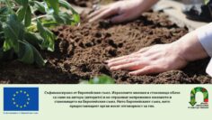zastrahovki_AgroTV