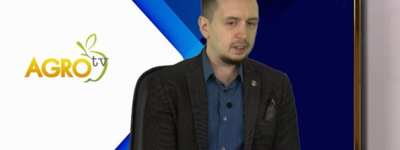 Georgi Vuldzhev ikonomist
