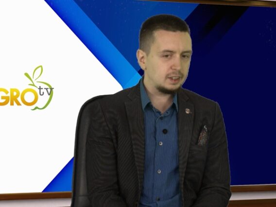 Georgi Vuldzhev ikonomist