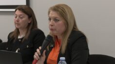 Verginia Gorova Direktni plashtania