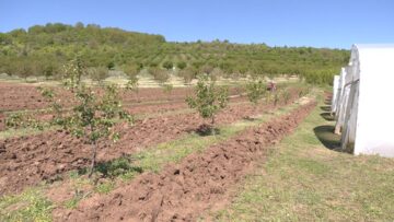 agrinews