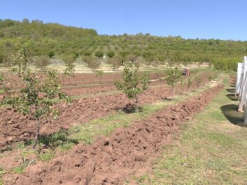 agrinews