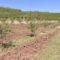 agrinews