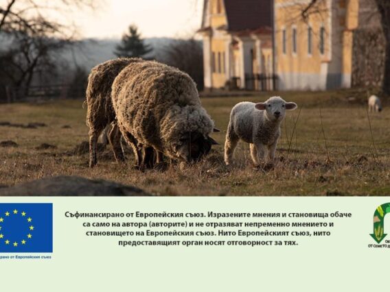 antimicrobna-resistentnost-AgroTV