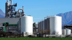Biochemical industry plant with rows of silos in front