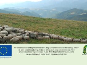 biojivotnovadstvo-intervenciiAgroTV