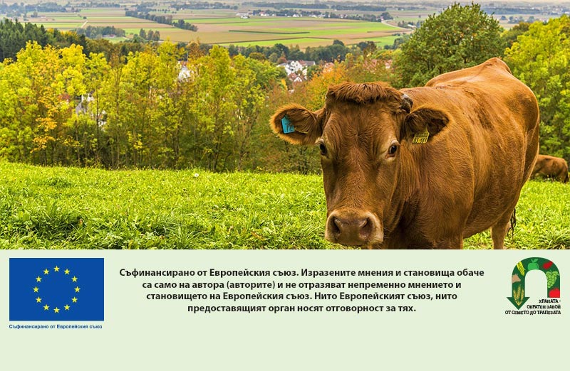 Биоживотновъдите получиха над 7,6 млн. евро подпомагане от ДФЗ
