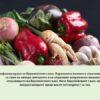 Fresh harvested vegetables.