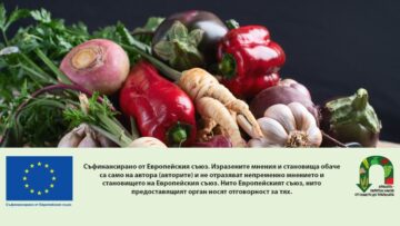 Fresh harvested vegetables.
