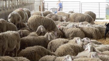 bioselena-ferma
