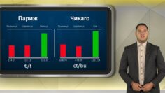 borsa130526