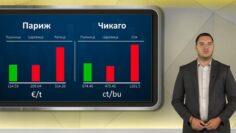 borsa140526