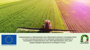 Farmer spraying green wheat field