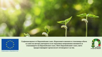concept agriculture planting seeding growing step in garden with sunshine