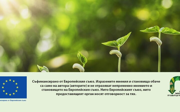 concept agriculture planting seeding growing step in garden with sunshine