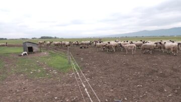 ferma zemedelie agronovini