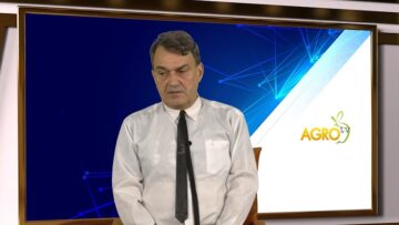 KLIMATICHNI ANOMALII
