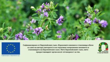 lyutserna osp agrotv