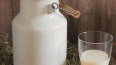 milk-can-1990072_1280