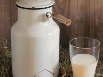 milk-can-1990072_1280
