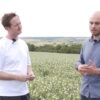 notill-carpetrovo