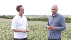 notill-carpetrovo