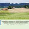 direktni plashtaniq-agrotv