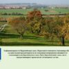 traini-nasajdenia-AgroTV